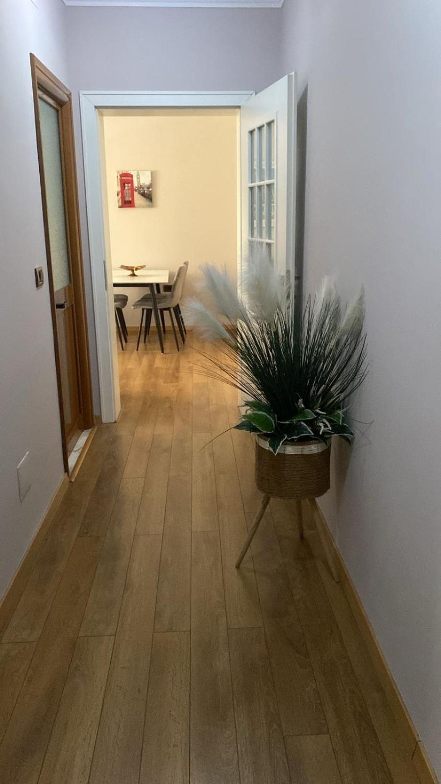 Tirana Cosy Appartments מראה חיצוני תמונה